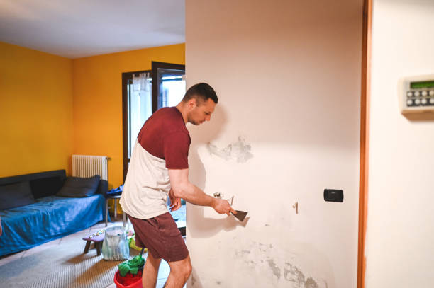 Best Office Mold Removal Services  in Colonia, NJ